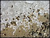Electric Ave. icy shapes