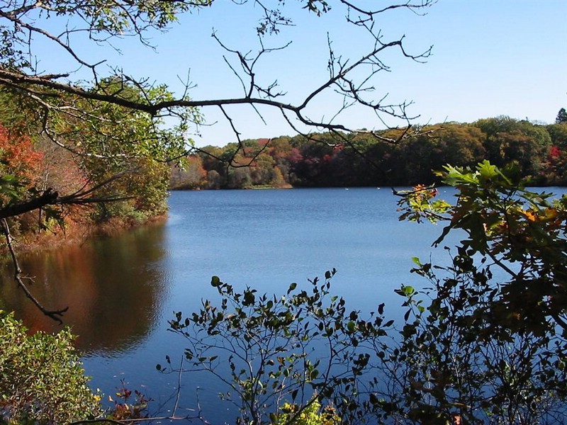 redbrook pond.jpg