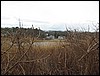 Squeteague Harbor