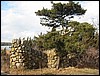 Scraggy Neck pillar