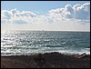 Scraggy Neck view<br> Cleveland Ledge Light