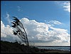 Scraggy Neck<br> Eustis Beach