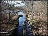 Red Brook<br> fish ladder