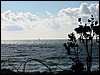 Scraggy Neck view<br> Cleveland Ledge Light