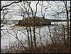 Monk's Cove Woods
