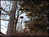 Monk's Cove Osprey Nest