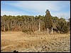 Monk's Cove Osprey Island
