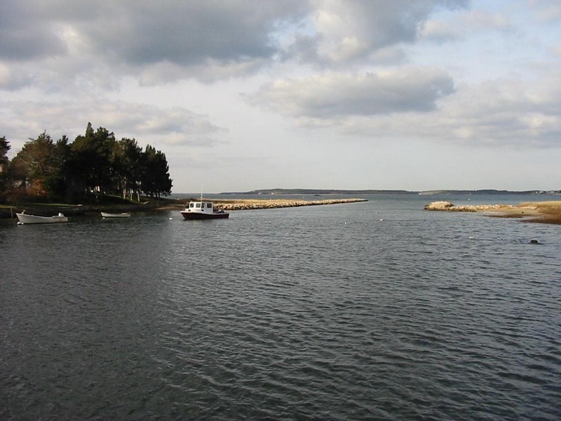 IMG_5100.JPG