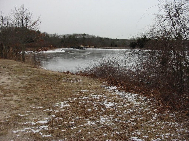IMG_5290.JPG
