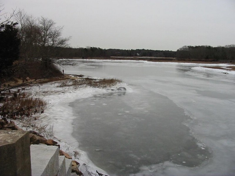 IMG_5293.JPG