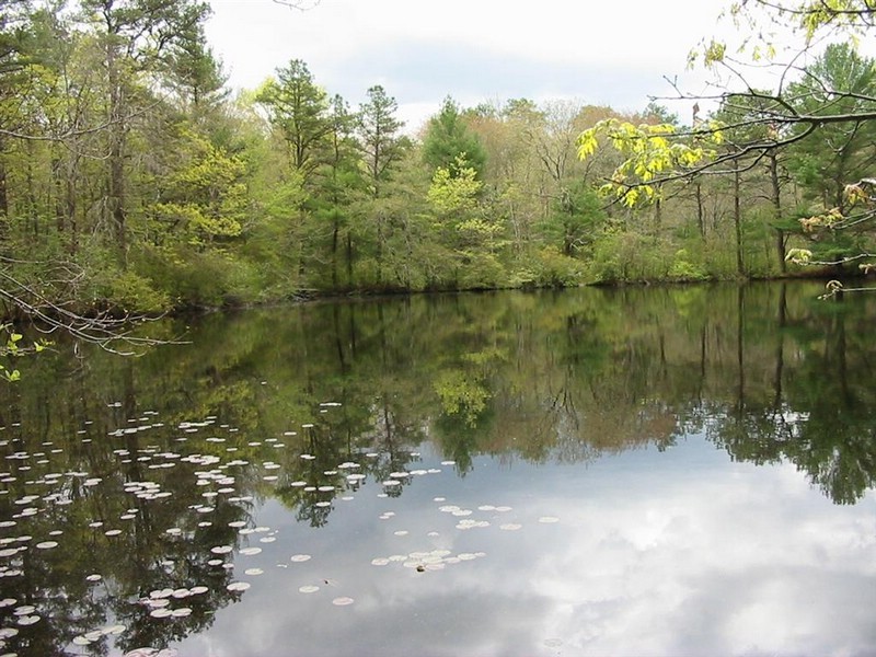 four ponds the basin pond.jpg
