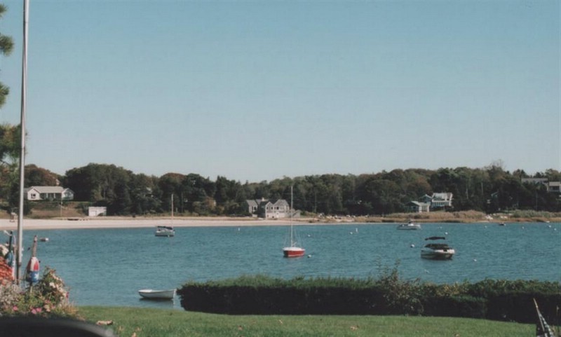 patuisset-henscove.jpg