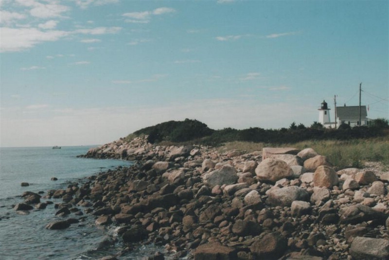 wingsneck light.jpg