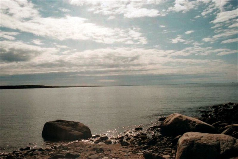 wingsneck view.jpg