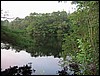Four Ponds<br> The Basin