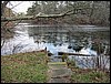 Four Ponds<br> Shop Pond