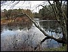 Four Ponds<br> Shop Pond