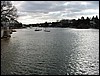 Pocasset River