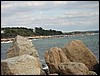 Wings Neck view