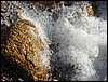 Wings Neck foam