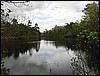 Four Ponds<br> Freeman's Pond