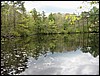 Four Ponds<br> The Basin
