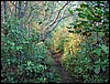 Four Ponds Trail