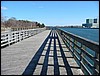 Fish Pier shadows