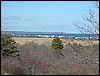 Sagamore Hill view