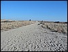 Scusset Beach
