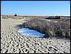 Scusset Beach snow