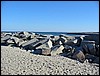 Scusset Beach jetty