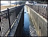 Herring Run