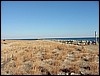 Scusset Beach