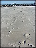 Scusset moonscape