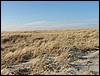 Scusset Beach